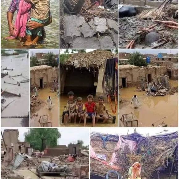 Meet your Posher, Anna - Picture 1 of 1